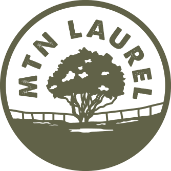 The Mountain Laurel Room boutique vacation rental logo Comal Inn